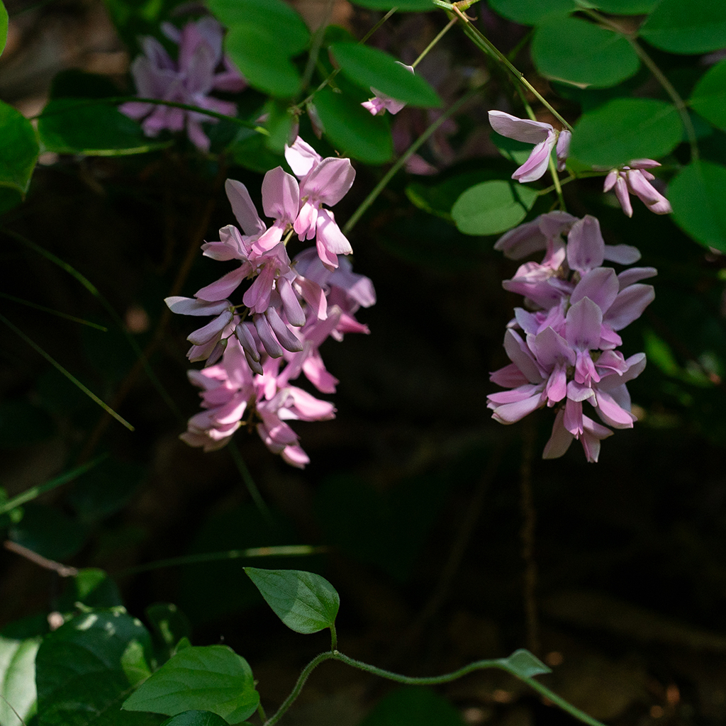 DSC08784_2.jpg