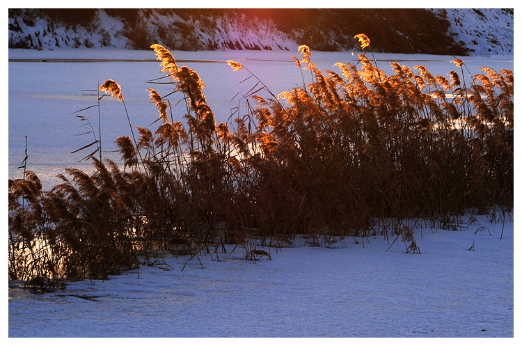 NIKON D2X2008012617243801.jpg